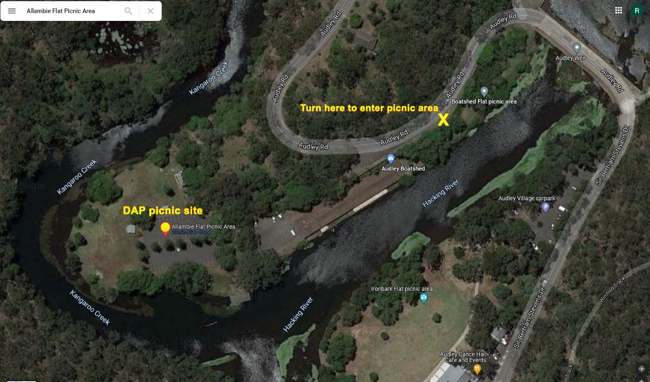 Allambie Flat Picnic Area