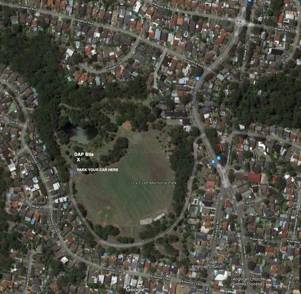 Evatt Park Lugarno